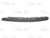 BLIC 6502-07-9544921P Trim/Protective Strip, bumper